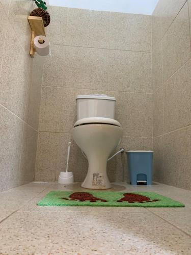 a bathroom with a toilet and a green rug at Ecocampingdage in Buíque