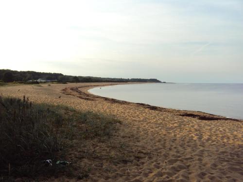 a beach with sand and the water and trees at Hotel Svea, BW Signature Collection in Simrishamn