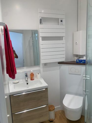 Un baño blanco con lavabo e inodoro. en Maison de charme ,Indépendante, en Montigny-sur-Loing