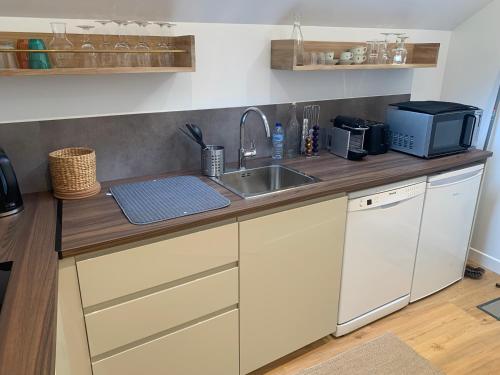 un comptoir de cuisine avec un évier et un micro-ondes dans l'établissement Maison de charme ,Indépendante, à Montigny-sur-Loing