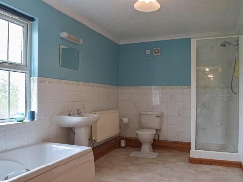 a bathroom with a tub and a toilet and a sink at Penrhiw Meredith in Llanfynydd