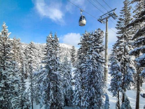 a ski lift with snow covered trees on a mountain at Gondola Chalet -New Luxury 5 Bdrm Condo @ Canyon Lodge, Steam Room in Mammoth Lakes