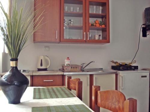 Cuisine ou kitchenette dans l'établissement Kotor Kelly Apartments