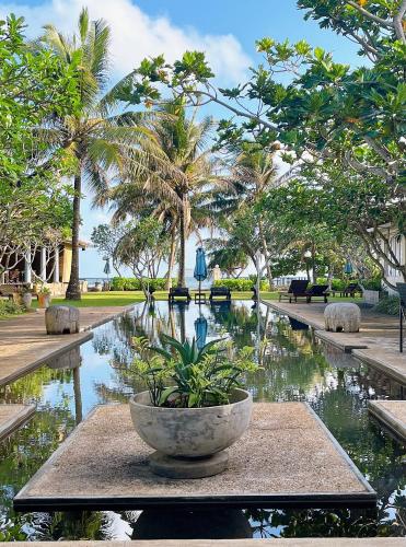 a fountain in a park with a plant in a bowl at Elysium in Unawatuna