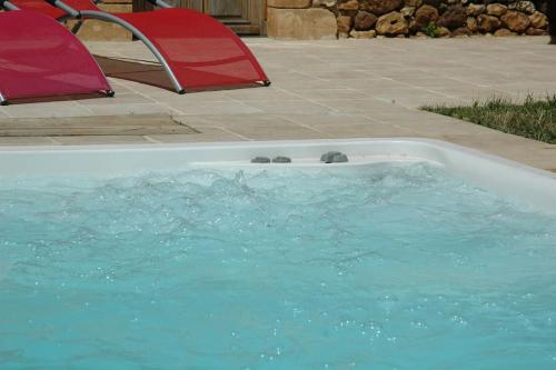 deux phoques nageant dans un bassin d’eau dans l'établissement Le Lapin sur le Toit - Magnifique grange du XVIIIème, à Rouffignac-Saint-Cernin-de-Reilhac