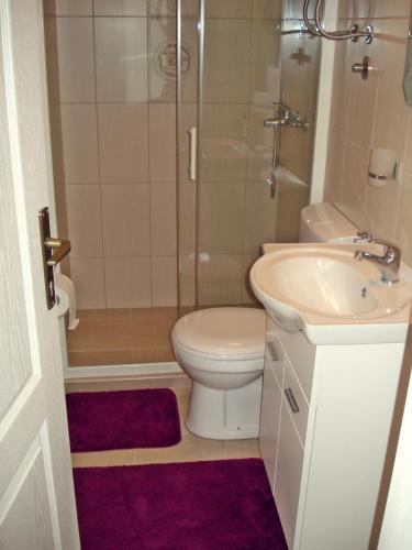 a bathroom with a toilet and a sink and a shower at Kotor Kelly Apartments in Kotor