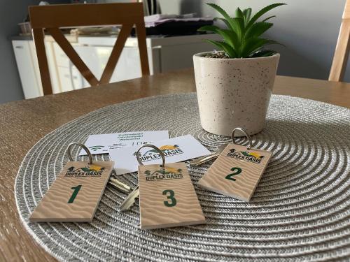 a table with price tags on a table with a plant at Duplex Oasis Ada in Ada