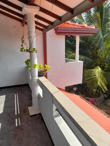 ganek domu z rośliną w obiekcie Chathu Home Stay w mieście Ambalangoda
