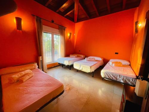 Gallery image of finca el descanso manchego in Tarancón