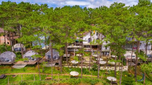 an aerial view of a resort with trees at De Vivre Homestay Măng Đen in Kon Von Kla