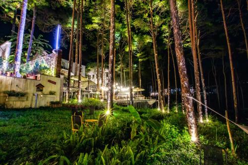 a resort with lights in the trees at night at De Vivre Homestay Măng Đen in Kon Von Kla