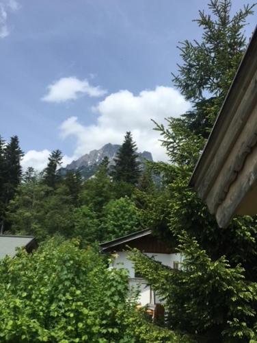 a view of trees and mountains from a house at Berghaus in Ellmau