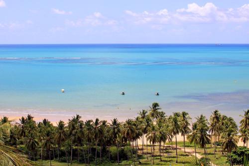 a view of a beach with palm trees and the ocean at Eco Pousada Paraíso dos Coqueirais in Japaratinga