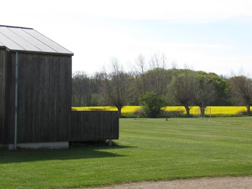 un cobertizo de madera en un campo con un campo de flores amarillas en Camp Hverringe, en Dalby