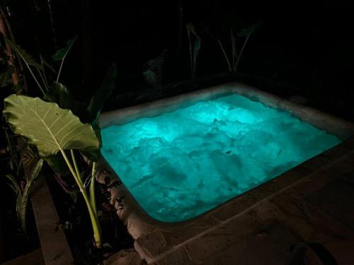 ein Pool aus blauem Wasser mit einer Pflanze daneben in der Unterkunft Cabaña de Bambú en la Selva in Palenque