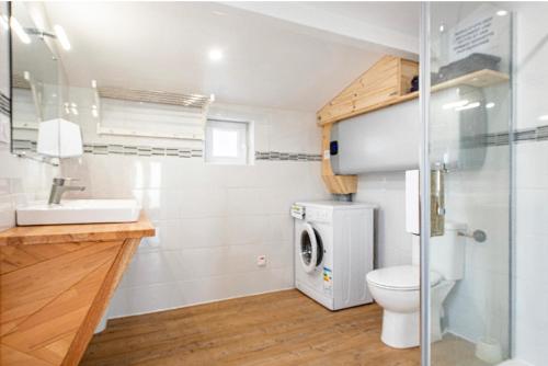 a bathroom with a toilet and a washing machine at Villa des palmiers, Studio cosy in Villeneuve-sur-Lot