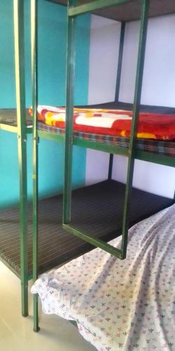 a green bunk bed with a mattress on the bottom shelf at Himalayan Mountain View in Dharamshala