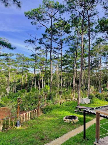 a park with a bench in the grass and trees at De Vivre Homestay Măng Đen in Kon Von Kla