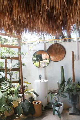 a room with a bunch of plants and mirrors at Bassa nova villa in Panglao