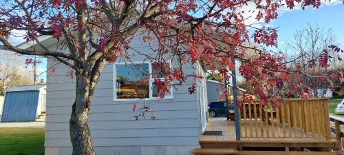a house with a tree with red leaves on it at Omarama TOP10 Holiday Park in Omarama