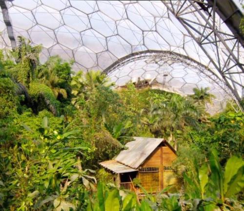 a greenhouse with a house in the middle of plants at THE ANNEX, Lostwithiel Small Double Bed, Private Parking, Quiet Location in Lostwithiel