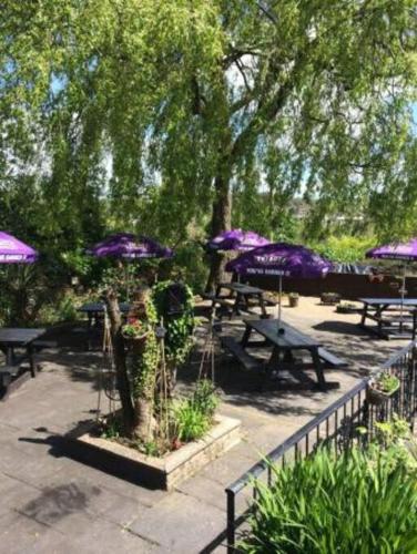a group of tables with purple umbrellas in a park at THE ANNEX, Lostwithiel Small Double Bed, Private Parking, Quiet Location in Lostwithiel