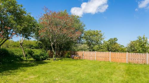 a yard with a fence and a tree and a bench at Ynys Las in Valley