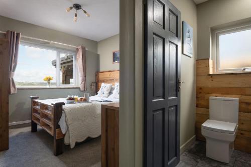 a bedroom with a bed and a window and a toilet at Willow Cottage in Gaerwen
