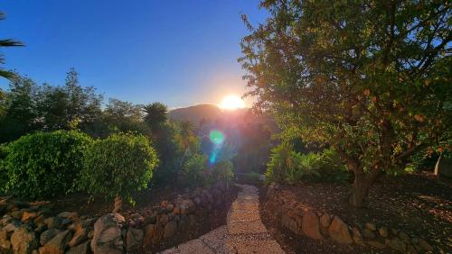 a sun setting behind a stone wall with a tree at The Nest Tenerife in Arona