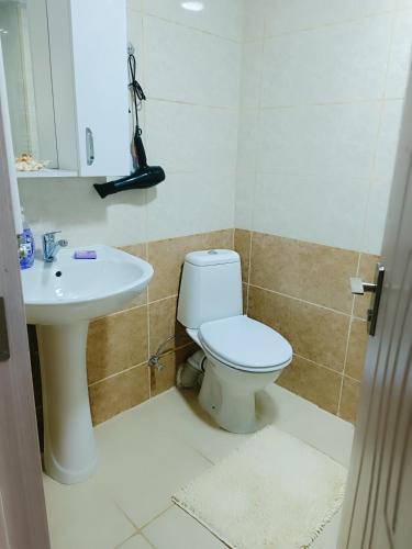 a bathroom with a toilet and a sink at Vake Residence close to Park Mziuri in Tbilisi City