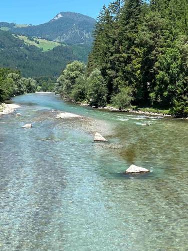 a river with rocks in the water and trees at Apartment mit Indoor Pool und Garten in Sankt Martin bei Lofer