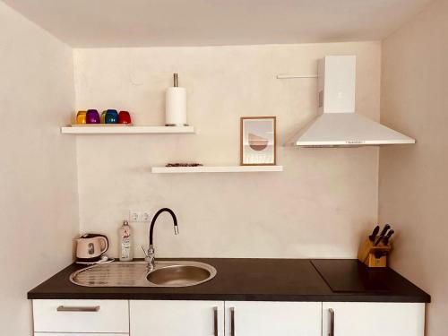 a kitchen with a sink and a counter top at Studio Apartman Iovia place in Ludbreg