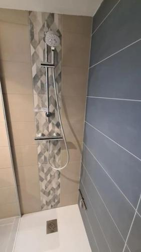 La salle de bains est pourvue d'une douche, de toilettes et d'une étagère. dans l'établissement Magnifique duplex, tout confort, 10min à pied Gare, à Grenoble