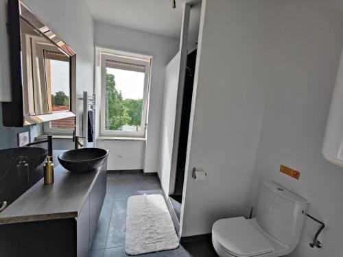 a bathroom with a sink and a toilet and a window at Private & Comfortable Apartments in Puttelange-aux-Lacs