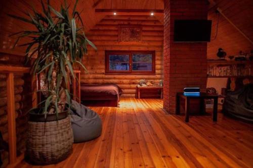 a living room with a potted plant on a wooden floor at Silamalas in Tukums