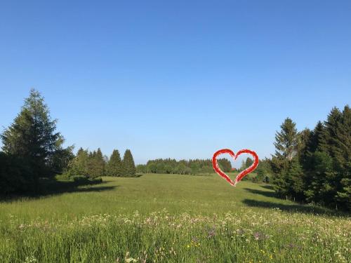 a heart kite flying in a field of grass at HARZchen in Sankt Andreasberg