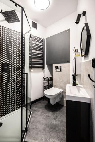a bathroom with a sink and a toilet and a shower at Apartament Ducha N°9 in Toruń