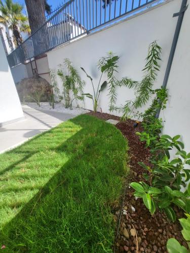 a yard with grass and plants next to a white wall at Lulubay Rooms & Suites in Kusadası