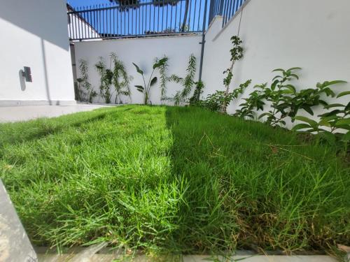 a pile of green grass next to a building at Lulubay Rooms & Suites in Kusadası