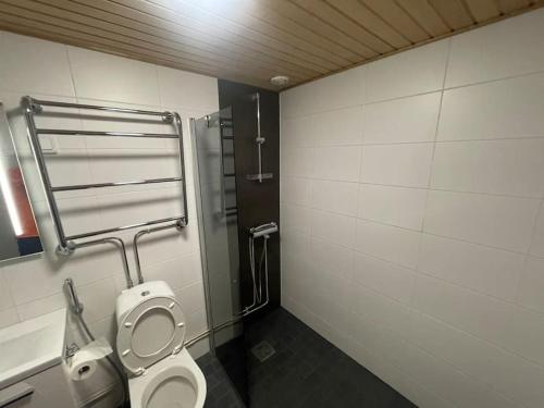 łazienka z toaletą i prysznicem w obiekcie Tilava kaksio, saunalla ja sähköauton latauksella. w mieście Tampere