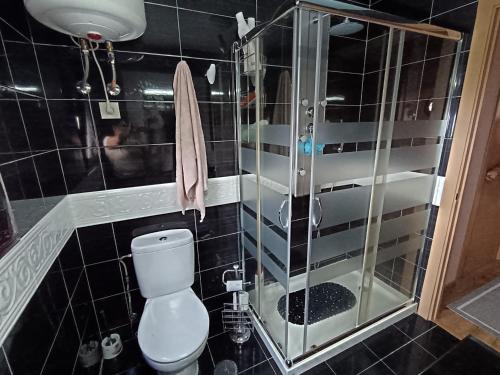 een badkamer met een toilet en een glazen douche bij A Cavadiña in Vilaboa
