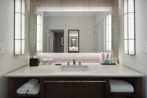 Embassy Suites by Hilton Detroit Metro Airport في رومولوس: حمام مع حوض ومرآة كبيرة