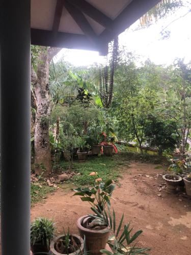 uma vista para um jardim com plantas em vasos em BuildZone Home Stay em Balangoda