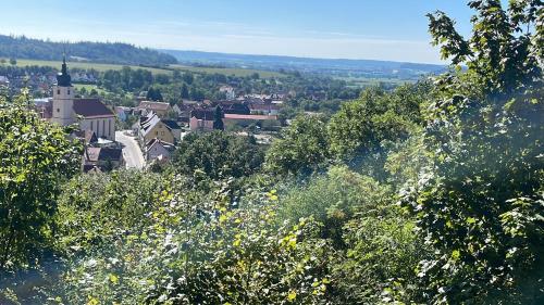 a view of a town from a hill with trees at Ferienidyll Aumühle, "Bebenburg" in Rot am See