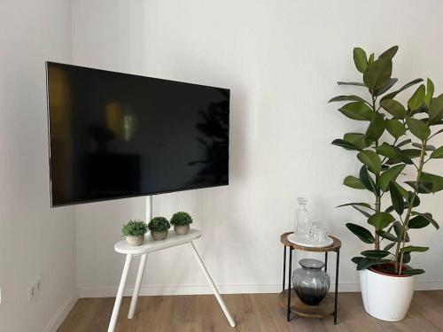 TV en una pared con macetas en una mesa en City Appartement direkt am Schloss! en Karlsruhe