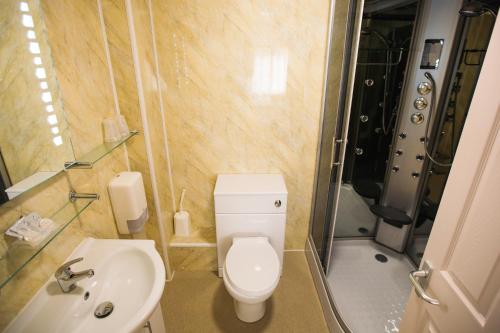 a bathroom with a toilet and a sink and a shower at The Coach House Hotel in Pembroke