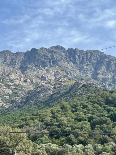 a view of a mountain with trees in front of it at Casa Basgiu, chambres avec balcon in Zilia