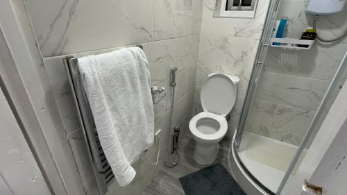 a bathroom with a white toilet and a shower at Bright and Spacious Entire One Bedroom Apartment with Living Room and Private Garden in London