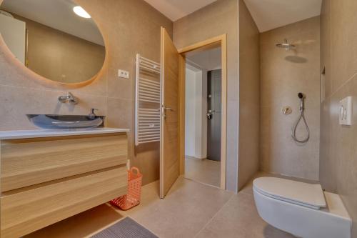 ein Badezimmer mit einem Waschbecken, einem WC und einem Spiegel in der Unterkunft Dragon Residence in Ljubljana
