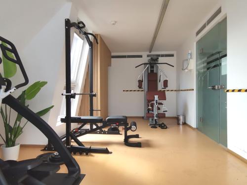 a room with a gym with tread machines in it at RAFAEL KAISER - Premium Apartments City Centre - Contactless Check-In in Vienna